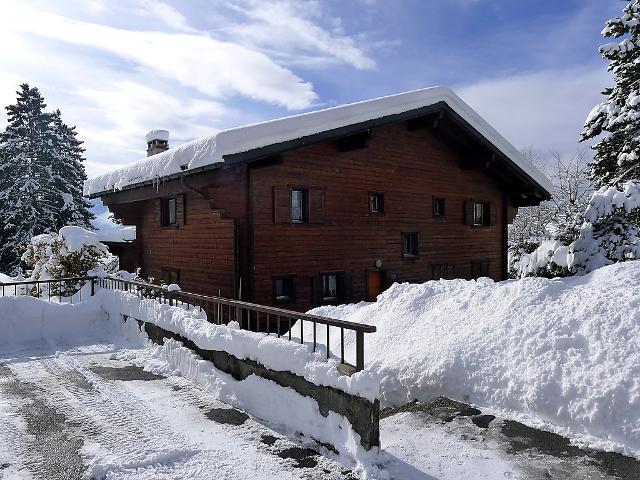 Chalet Les Pins E4 - Villars - sur - Ollons 