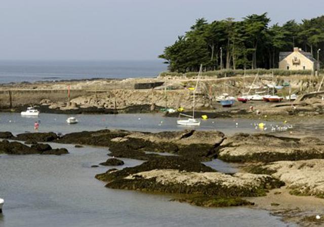 VVF Le Moulin de Praillane - Piriac sur Mer