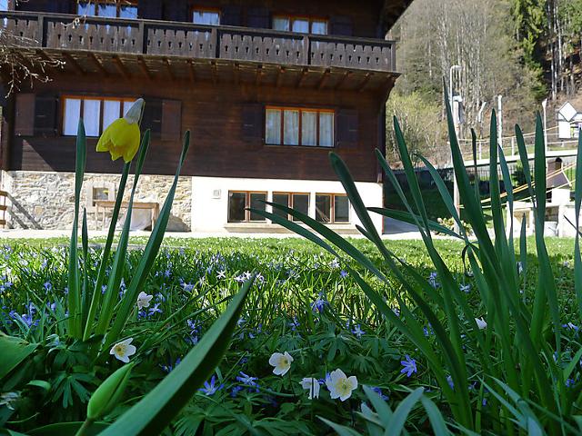 Chalet Riant Soleil - Villars - sur - Ollons 