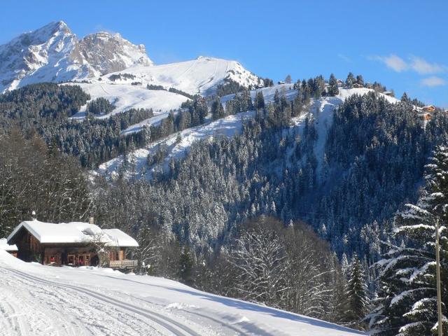 Châlet Le Mont Blanc 2 - Villars - sur - Ollons 