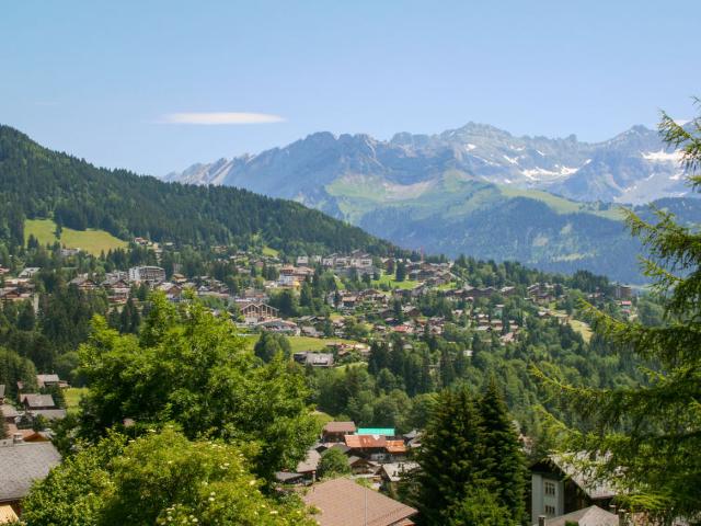 Châlet Le Mont Blanc 8 - Villars - sur - Ollons 