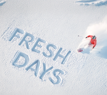 Fresh days