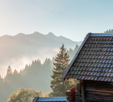 Chalet pas cher