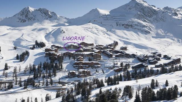 Appartements Licorne