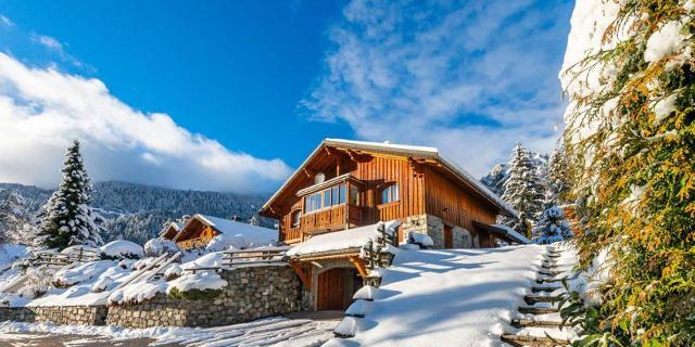 Chalet Les Soldanelles