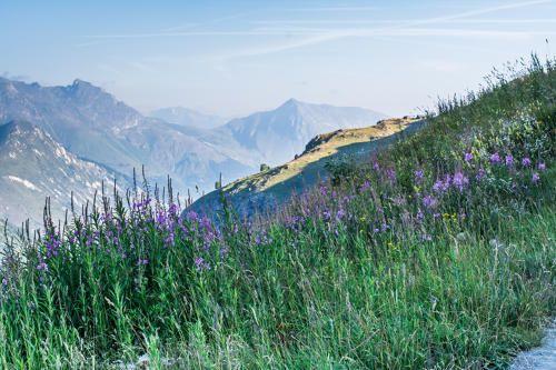 Chalet LE BETTEX