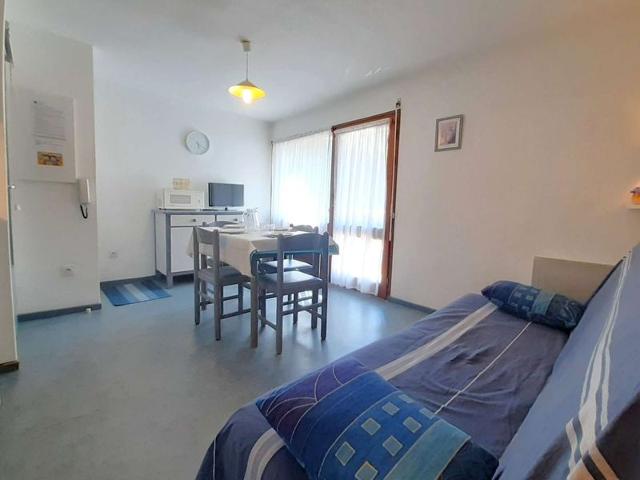 Studio 4 couchages SAINT LARY SOULAN