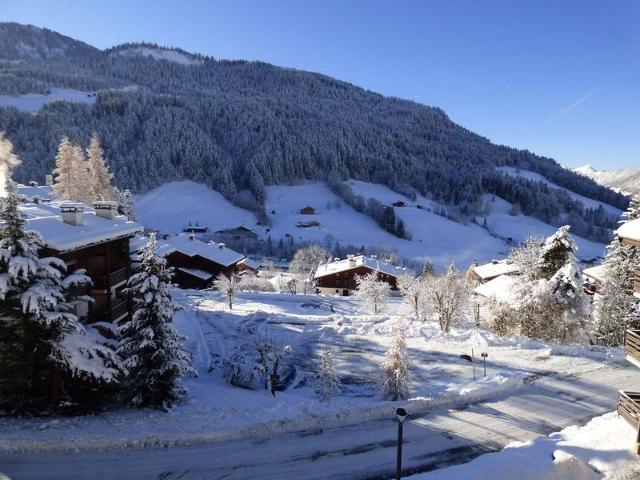 Joli studio pour 4 personnes au Grand Bornand !