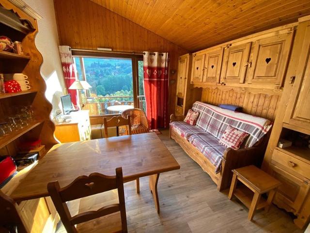 Studio 4 couchages sur les pistes (JAN012)