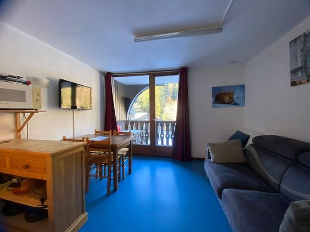 agréable studio 4 personnes pied de piste
