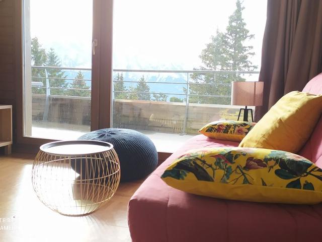 6 places classé 3*, vue panoramique, pied des pistes, résidence avec piscine