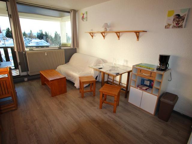 Chamrousse - 4 pers, 22 m2, 1/0