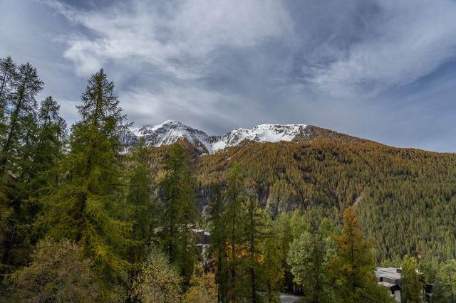 Appartements LES ECRINS