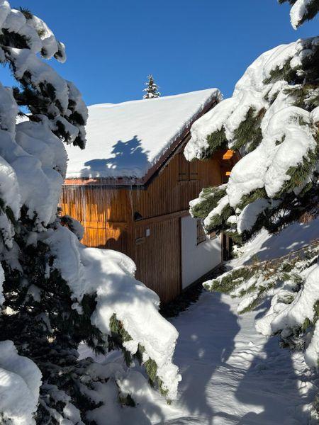 Chalet Forsythia